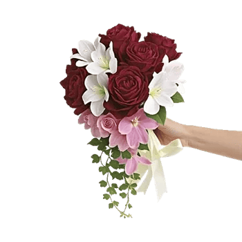 Delicate Petal Cascade