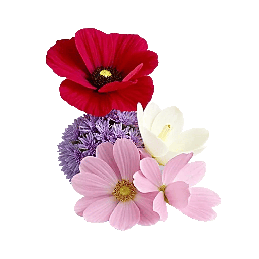 Graceful Lily Display