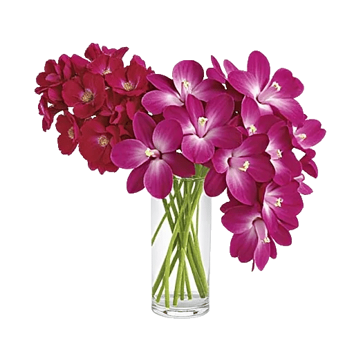 Orchid Bloom Cascade