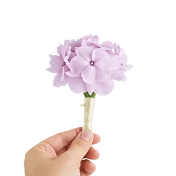 Petal Softness Display