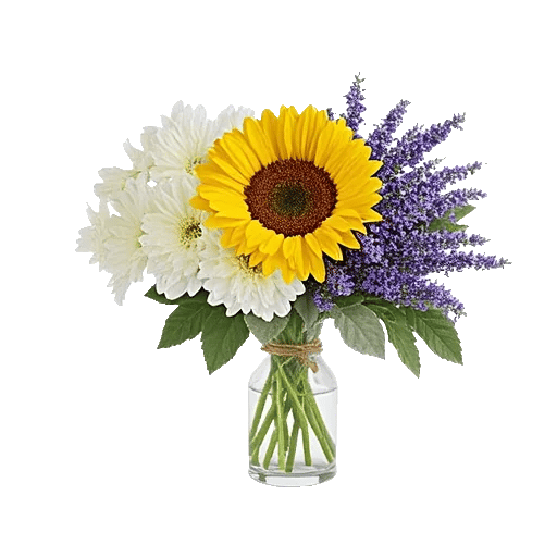 Ivory Blossom Radiance