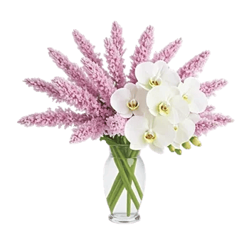 Orchid Bloom Cascade