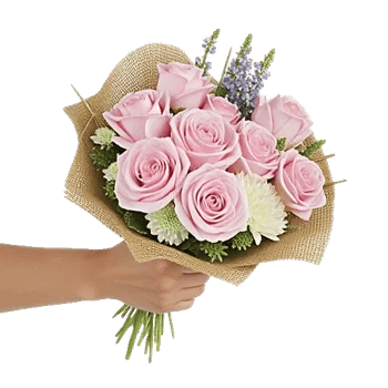 Pink Pastel Roses