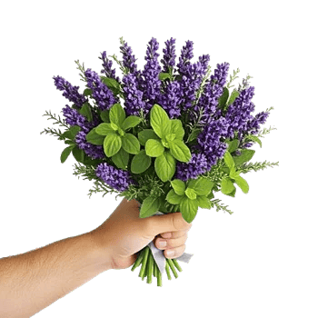 Rosemary Bloom Elegance