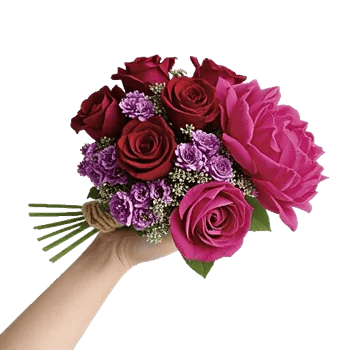 Crimson Rose Elegance