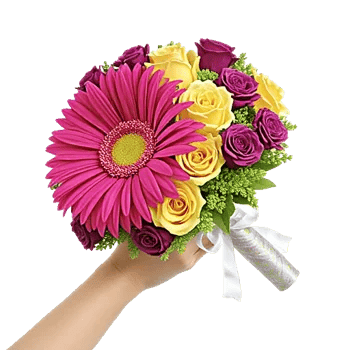 Petal Harmony Bliss