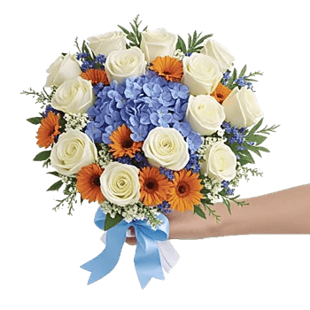 Serene Petal Harmony