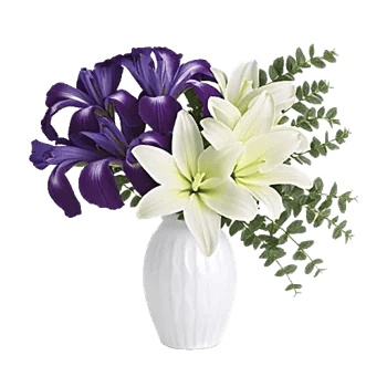 Ivory Blossom Radiance