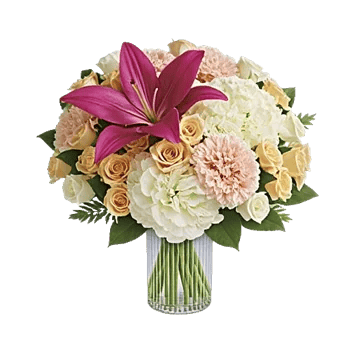 Ivory Blossom Radiance