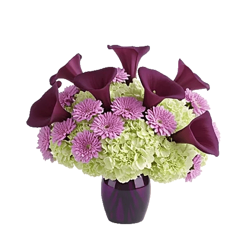 Elegant Calla Lilies