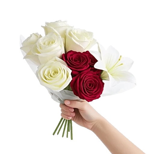 Blushing Rose Symphony