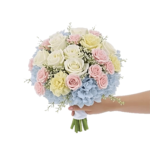 Serene Petal Harmony