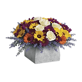 Delicate Petal Cascade