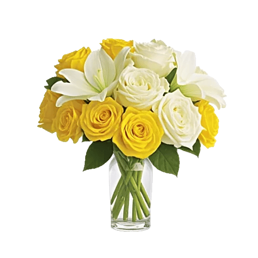 Radiant Rose Symphony