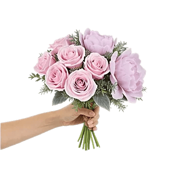 Pastel Pink Roses