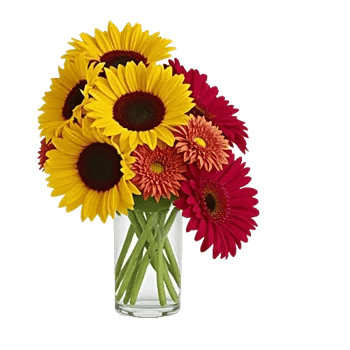 Radiant Bloom Cascade