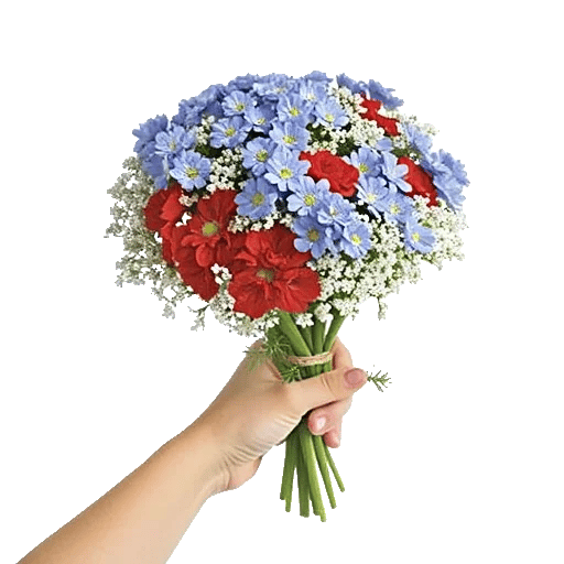 Blossom Petal Serenity