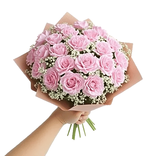Pastel Pink Roses