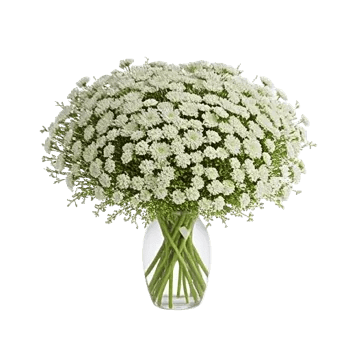 Delicate Petal Cascade