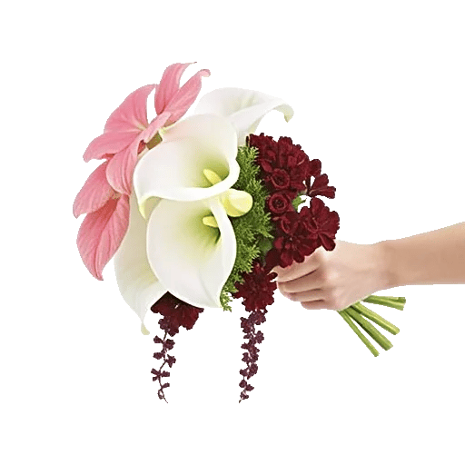 Elegant Calla Lilies
