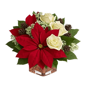 Crimson Rose Elegance