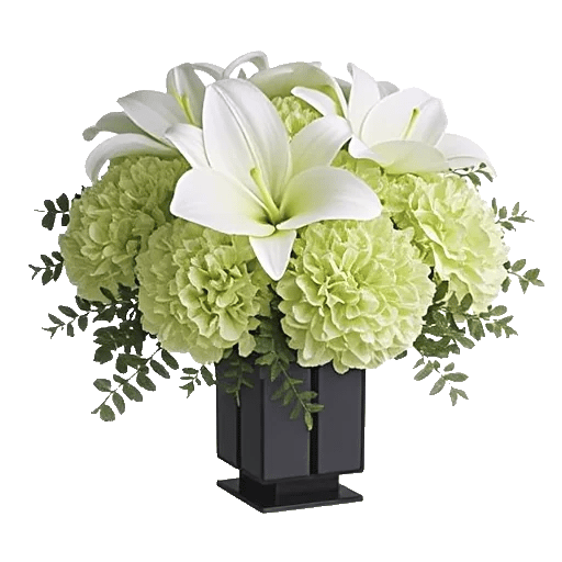 Ivory Blossom Radiance