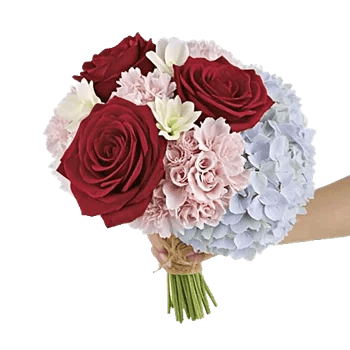 Crimson Rose Elegance