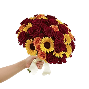 Blushing Rose Symphony