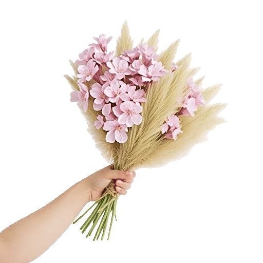 Plum Blossom Radiance