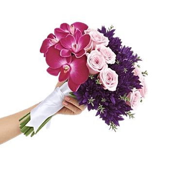 Orchid Bloom Cascade