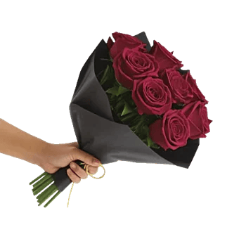 Crimson Rose Elegance