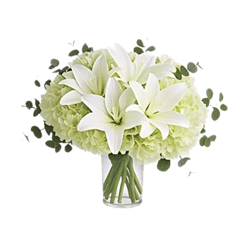 Graceful Lily Display