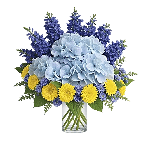 Azure Sky Blooms