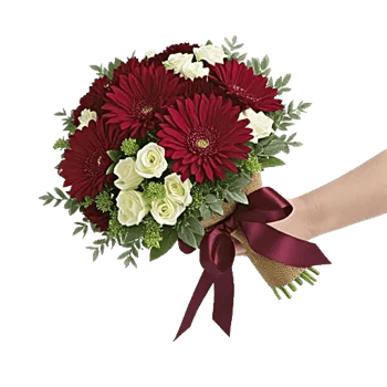 Crimson Blossom Harmony