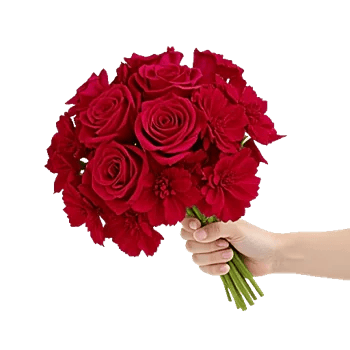 Crimson Rose Elegance