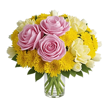 Petal Radiance Bliss