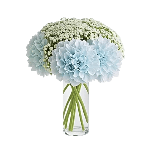 Ivory Blossom Radiance