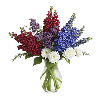 Crimson Blossom Harmony