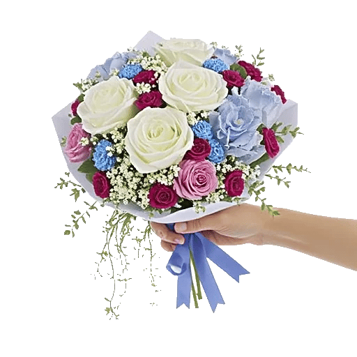 Serene Petal Harmony