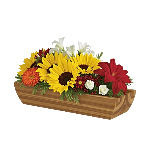 Amber Sunflower Glow