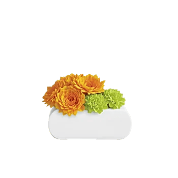 Petal Radiance Bliss