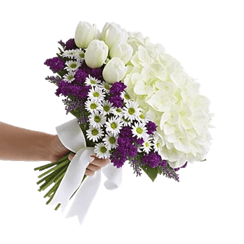 Blossom Harmony Display