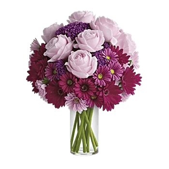 Petal Radiance Bliss