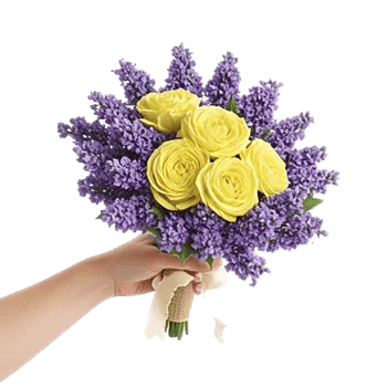 Delicate Petal Cascade