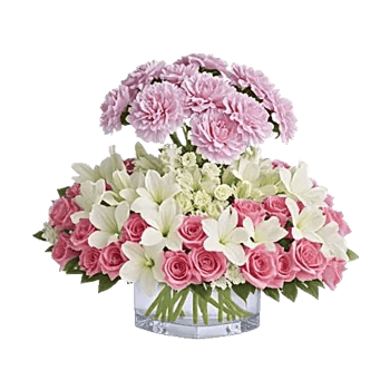 Delicate Petal Cascade