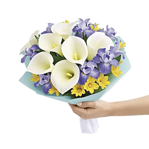 Elegant Calla Lilies