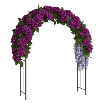 Ivory Blossom Radiance