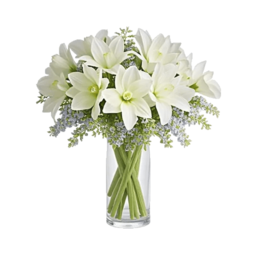 Ivory Blossom Radiance