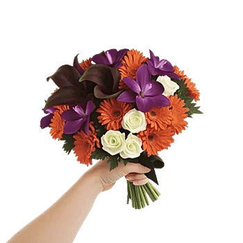 Elegant Calla Lilies