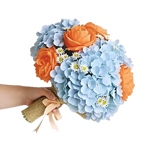 Serene Petal Harmony